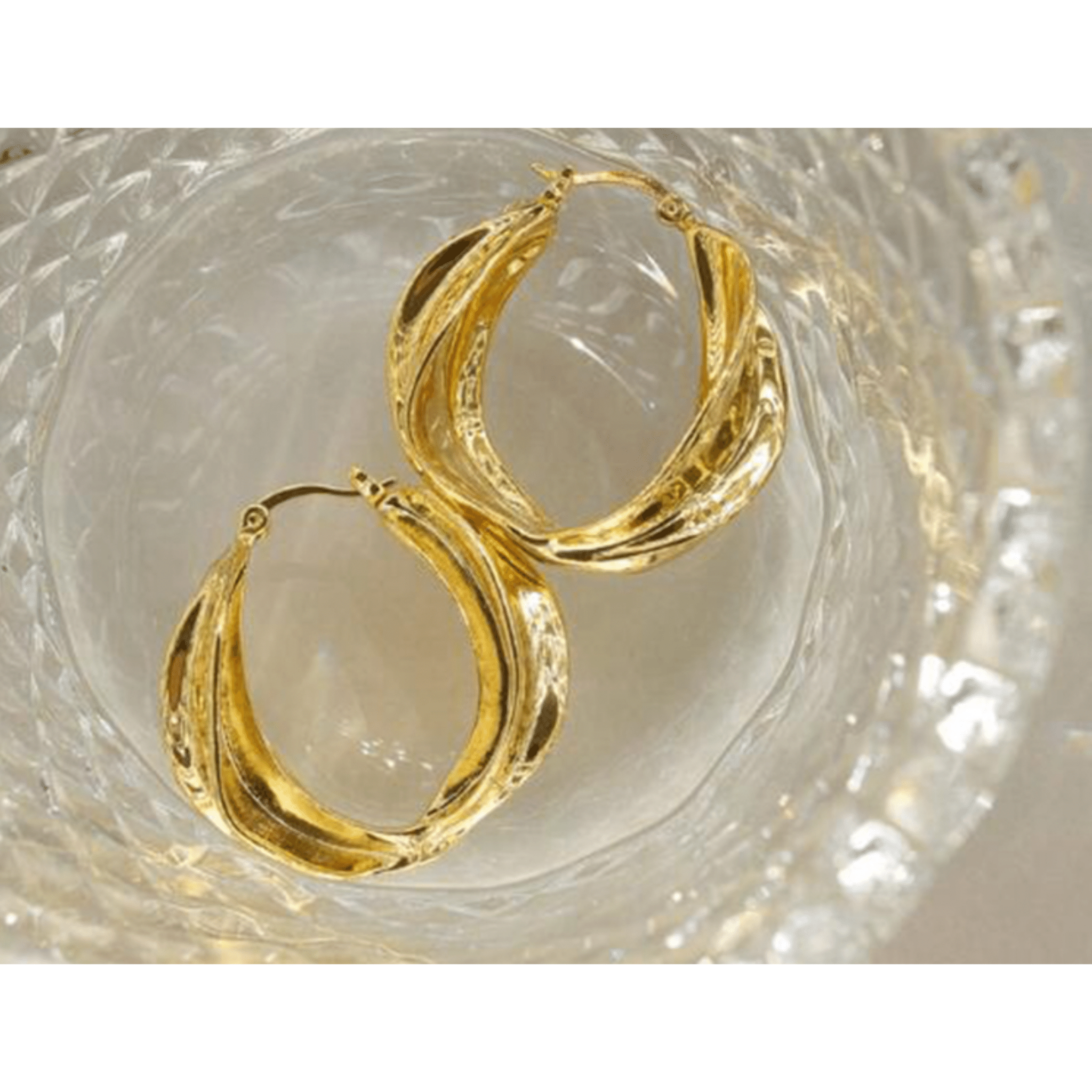 Exotic Ambition 18K Gold Plated Hoop Earrings